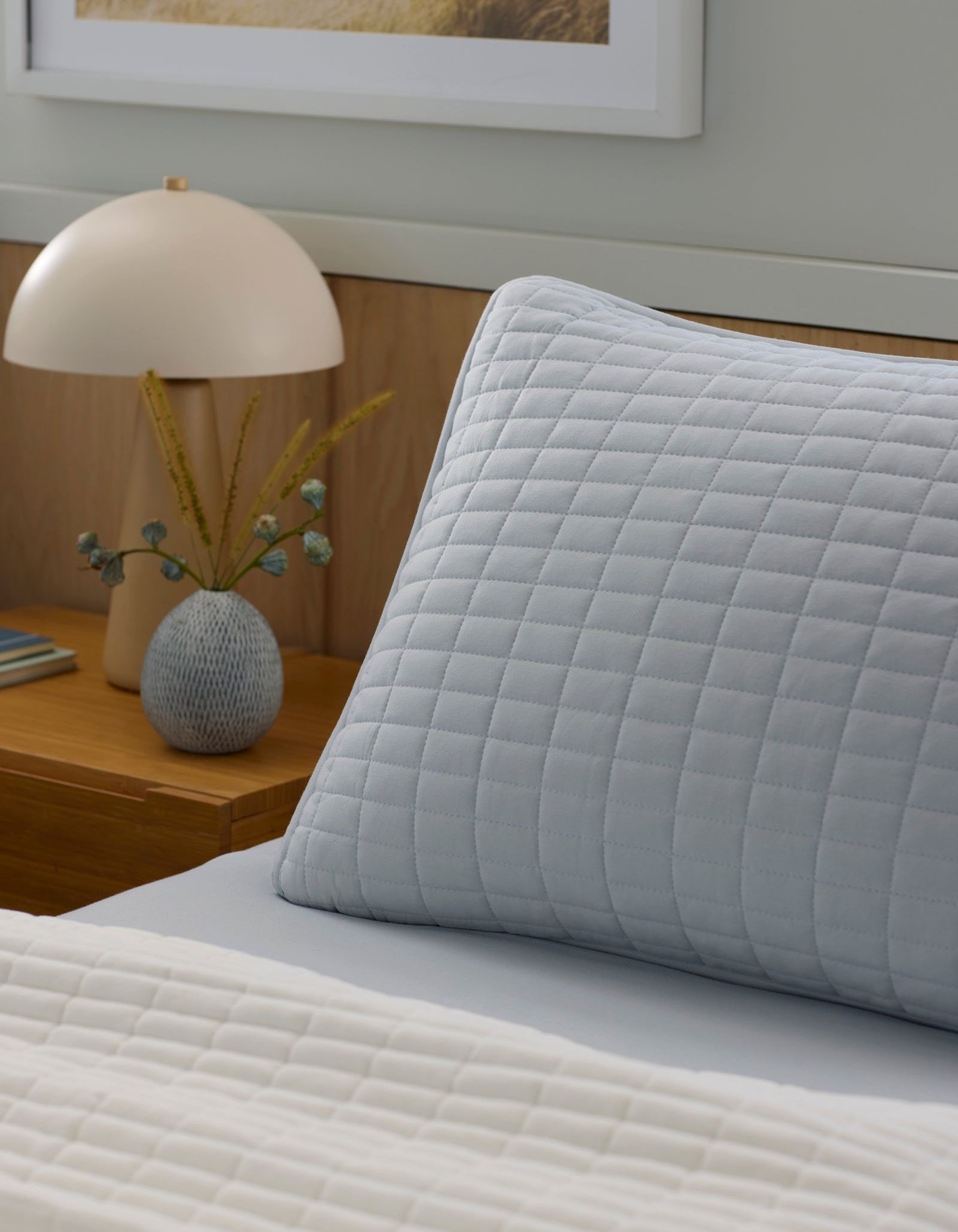 Bamboo Jersey Quilted Shams